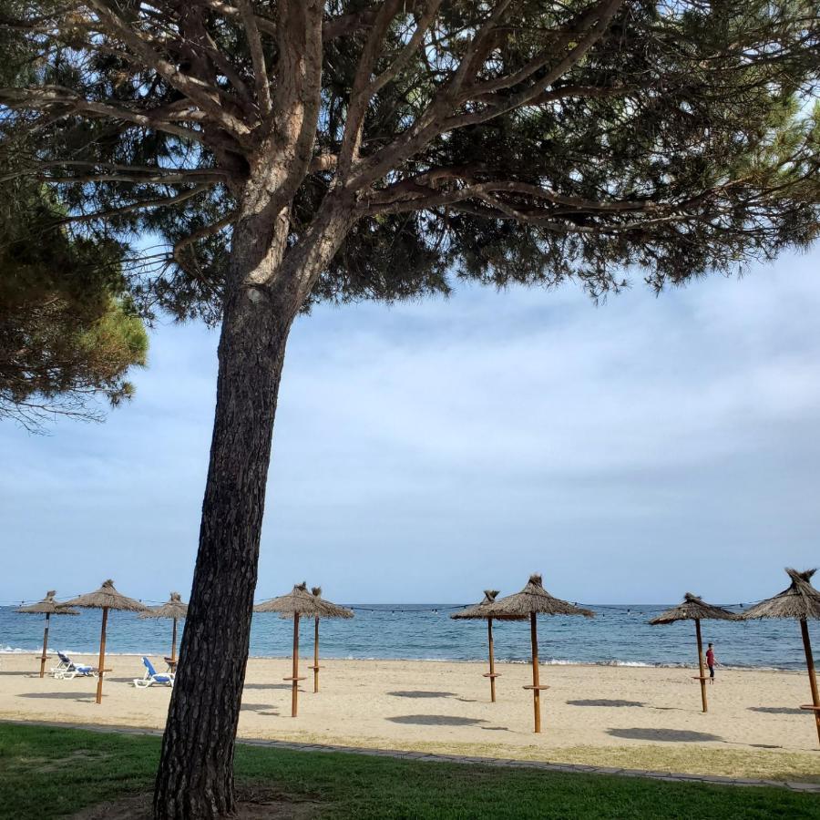 Apart Del Sol Διαμέρισμα Cambrils Εξωτερικό φωτογραφία